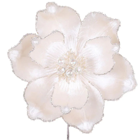 Ivory mystic grand magnolia stem with broad blooms.