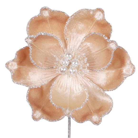 Champagne mystic grand magnolia stem with layered petals.