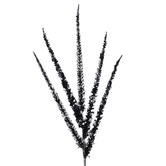 Black spruce spear spray with dark green needles.