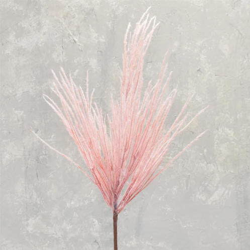 38" Pink Pampas