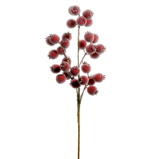 Iced burgundy berry pod spray with a frosted finish.