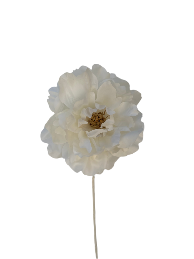 White peony spray with full layered blooms.