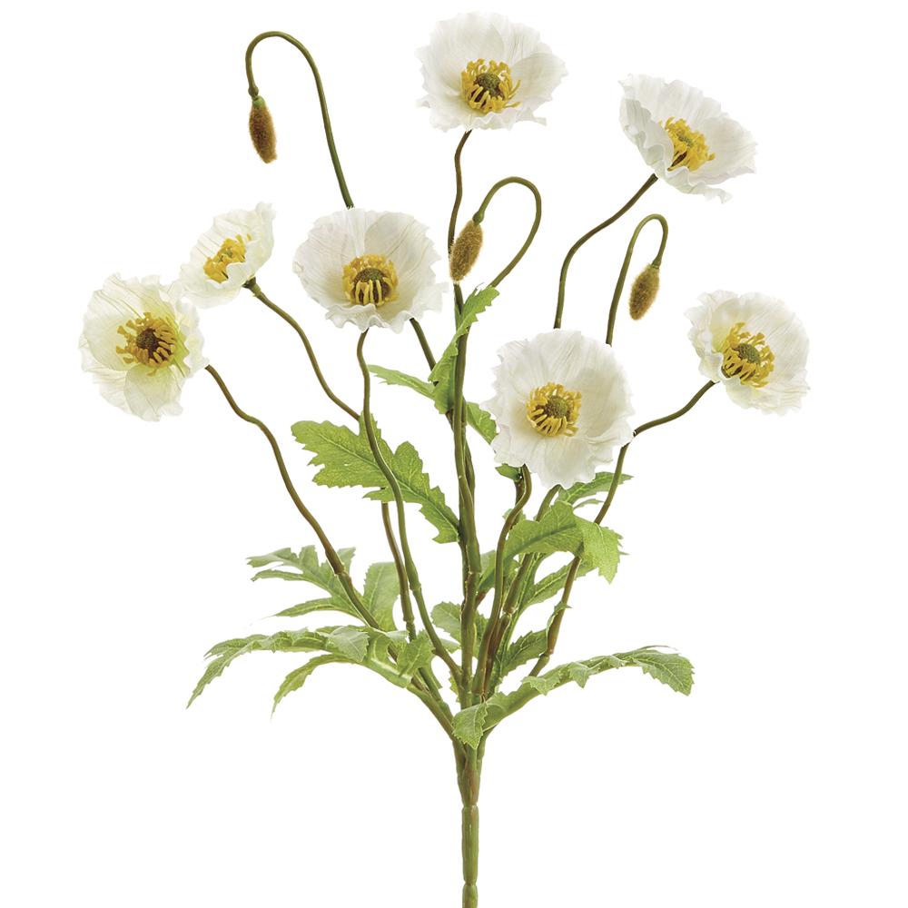 15" White Poppy Bush