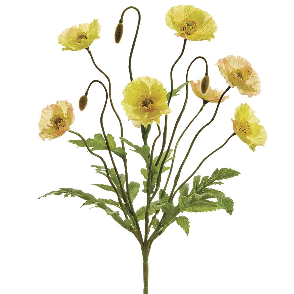 15" Yellow Poppy Spray
