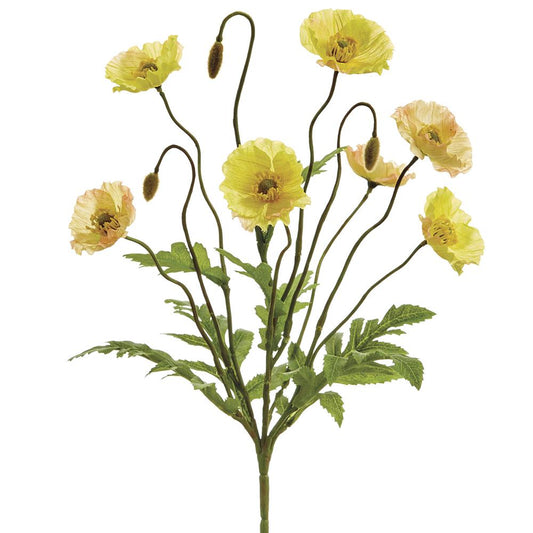 15" Yellow Poppy Spray