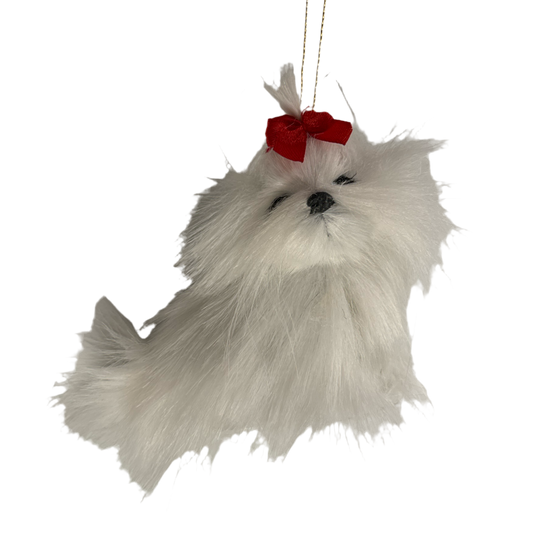 3" White Fluffy Maltese