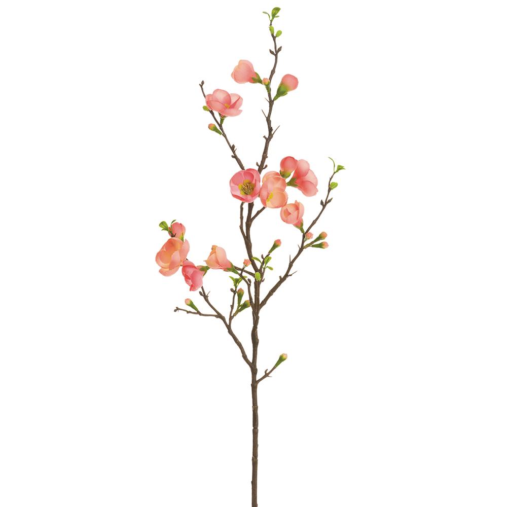 35" Coral Quince Blossom Spray