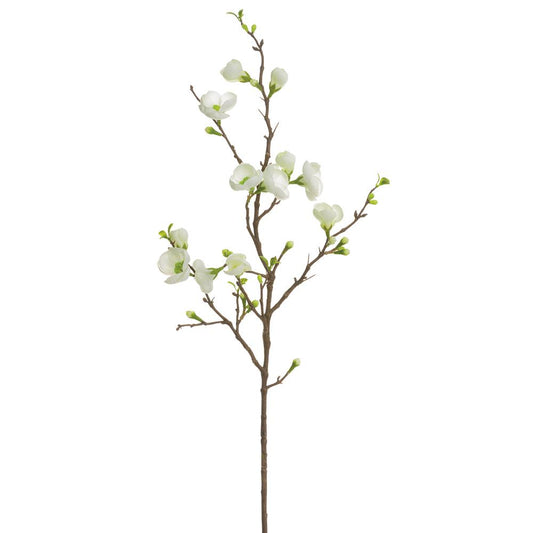 35" Quince Blossom Spray White
