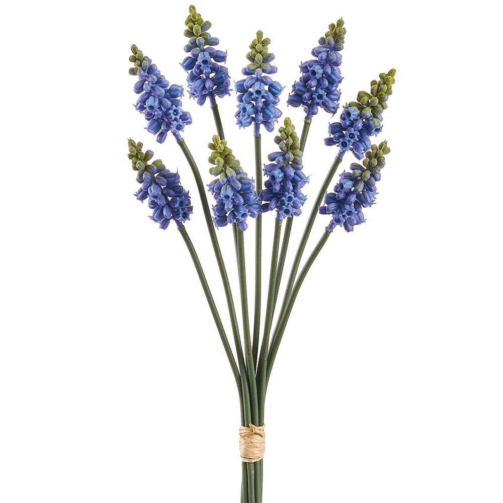 12" Muscari Bundle Blue Green