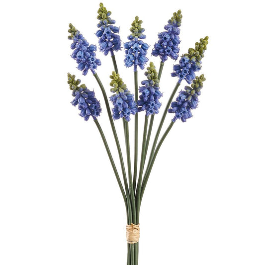 12" Muscari Bundle Blue Green