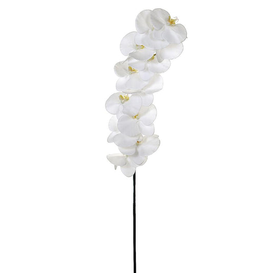 44.5" Phalaenopsis Spray White