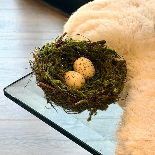 5" Twig Nest w/ Eggs Mossy