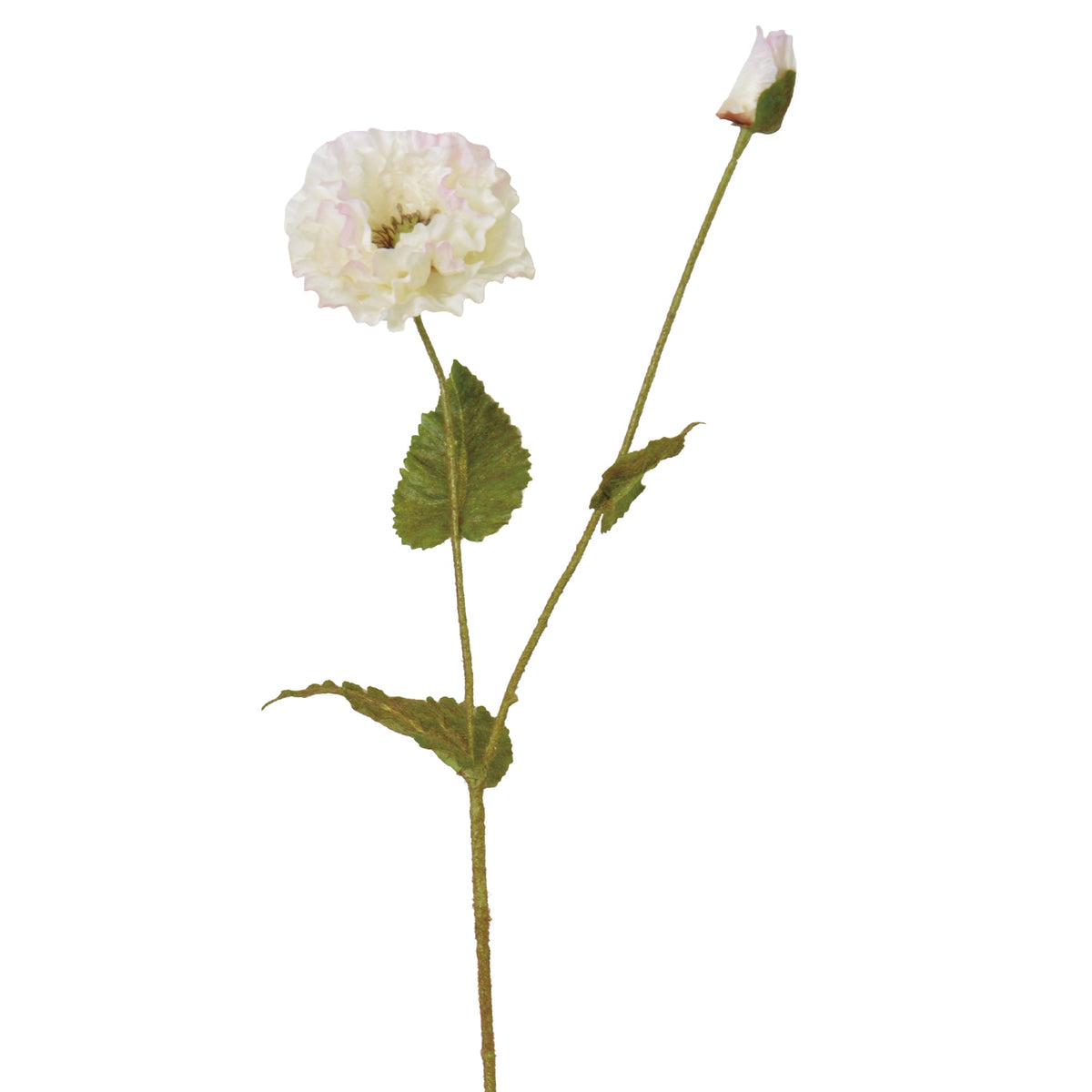 24" White Poppy Spray