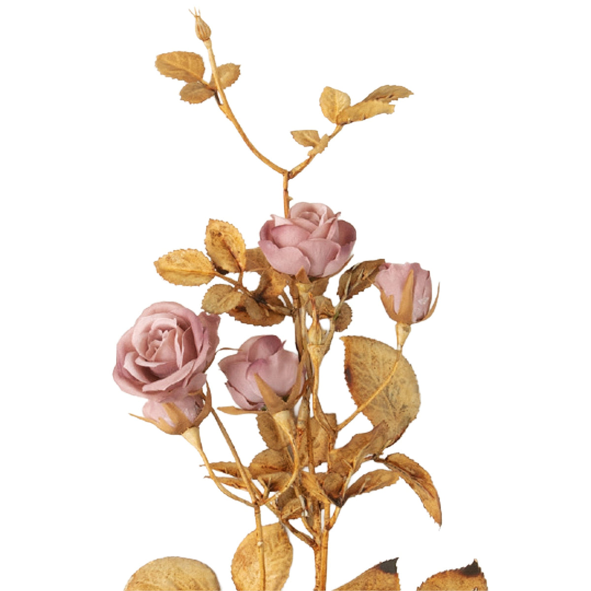 24" Pink Rose