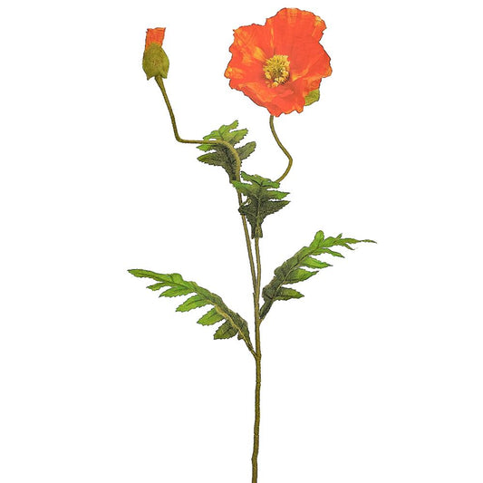 24" Orange Poppy Spray