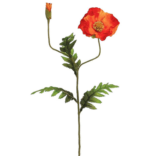 24" Talisman Poppy Spray