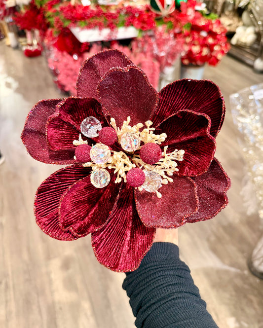 Burgundy grand magnolia stem with a full layered bloom.