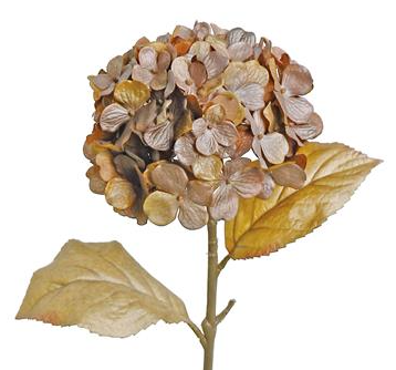 25" Hydrangea Brown Pearl