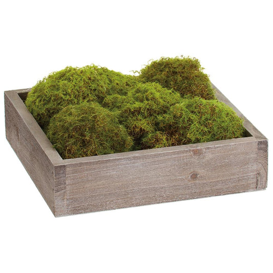 8" Moss Planter Green