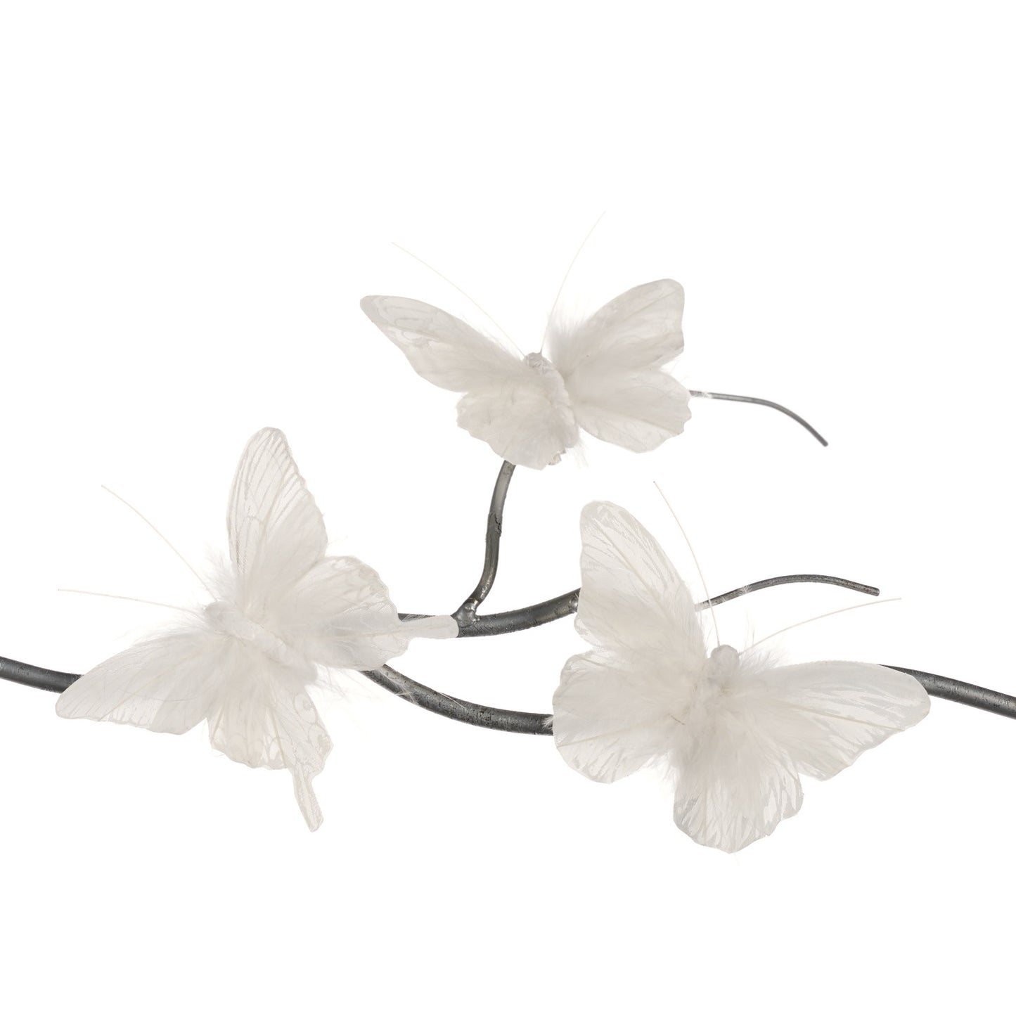 Box/12 11cm Butterfly White Plume