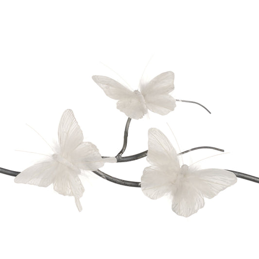 Box/12 11cm Butterfly White Plume