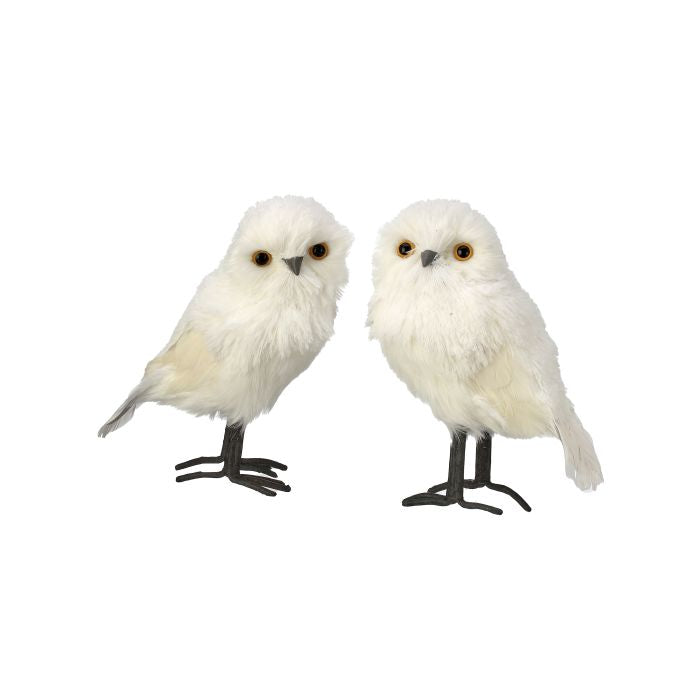 10 inch White Owl