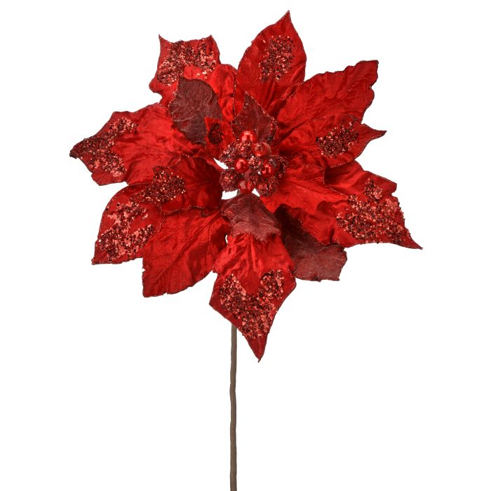 Red poinsettia stem with layered petals