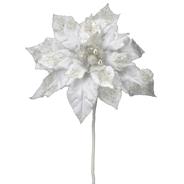 White fantasy poinsettia stem with layered bracts.