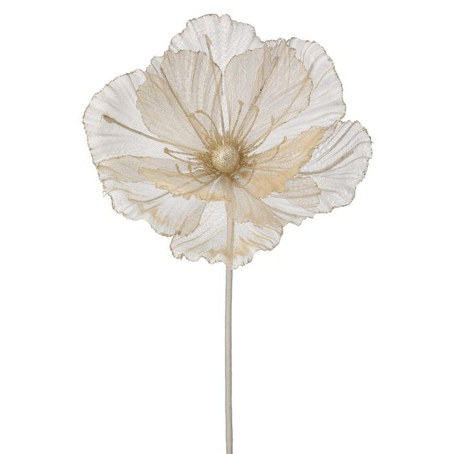 Cream sheer magnolia stem with a layered bloom.