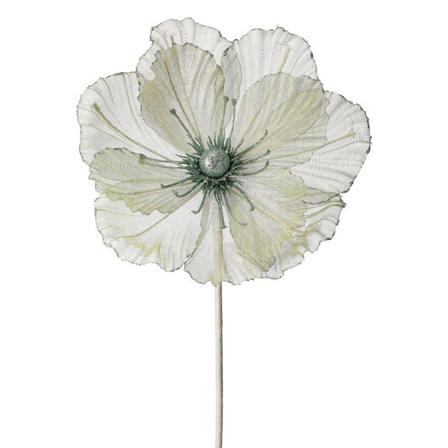 Mint green sheer magnolia stem with a layered bloom.