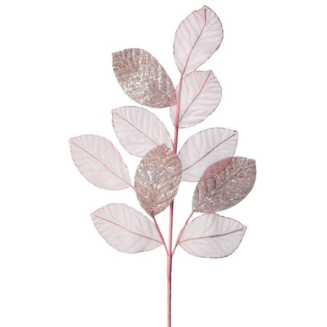 Pink sheer spray with soft translucent petals.