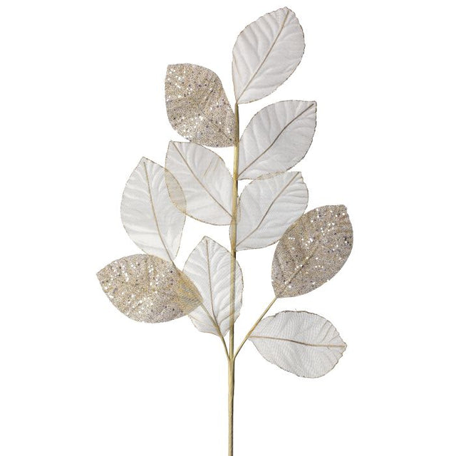 Cream spray with soft sheer detail on a long graceful stem.