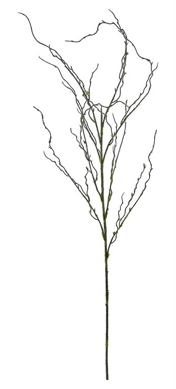 Twig Mossy Branch