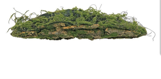 18" Tree Bark Mossy