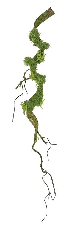 Mossy Twig Vine