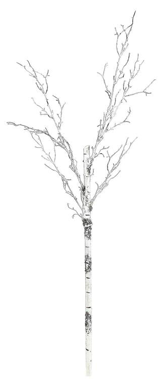 Birch branch spray with natural twig texture.
