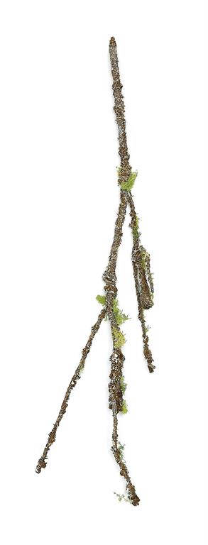 Moss branch stem with a natural finish.