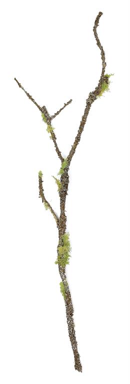48" Sticky Moss Branch