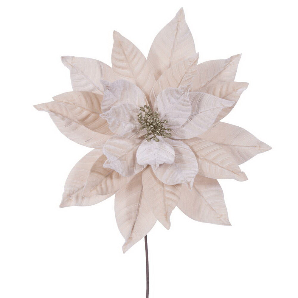 21.5" Poinsettia Stem Champagne