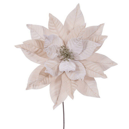 Champagne poinsettia stem with soft blooms.