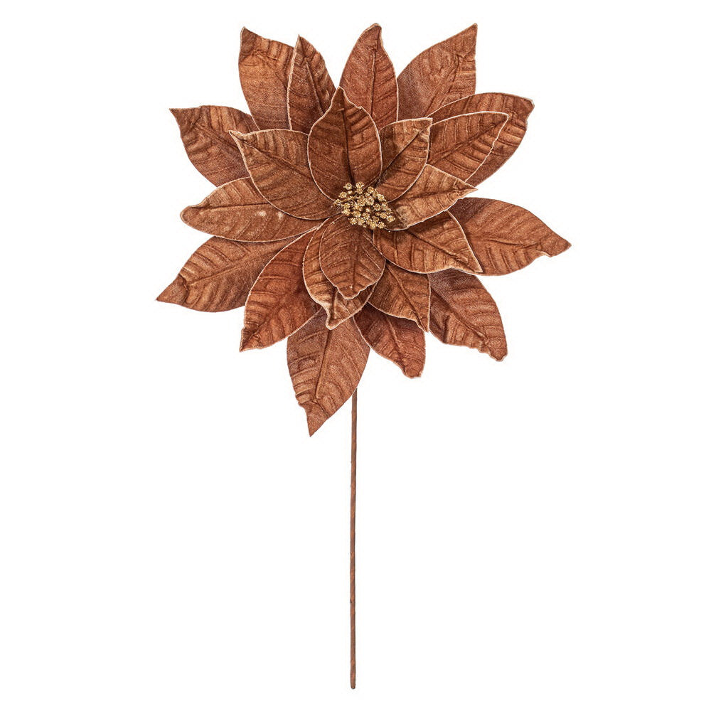 21.5" Poinsettia Stem Mocha