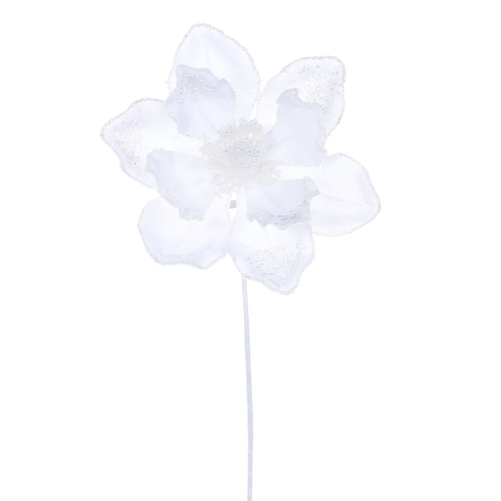 White pearl magnolia with a luminous bloom.