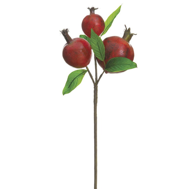 Pomegranate pick in red and burgundy with clustered fruit.