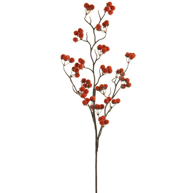 Red pompon berry spray with round pompon berries.