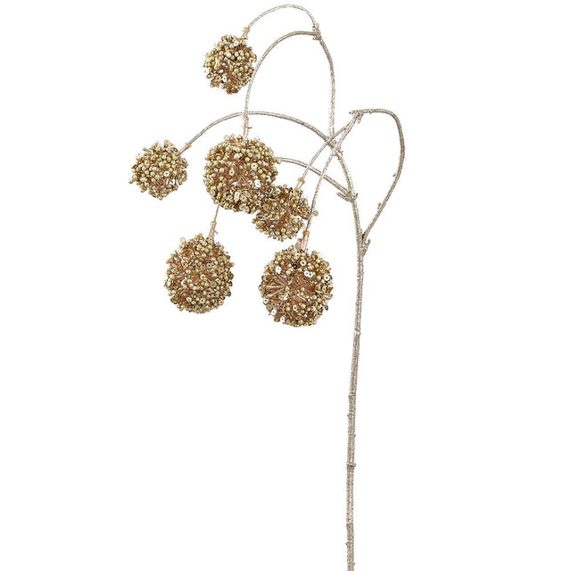 Gold allium ball spray with a round structural bloom.