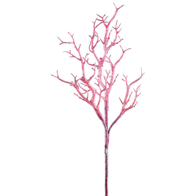 Pink twig branch with soft color.
