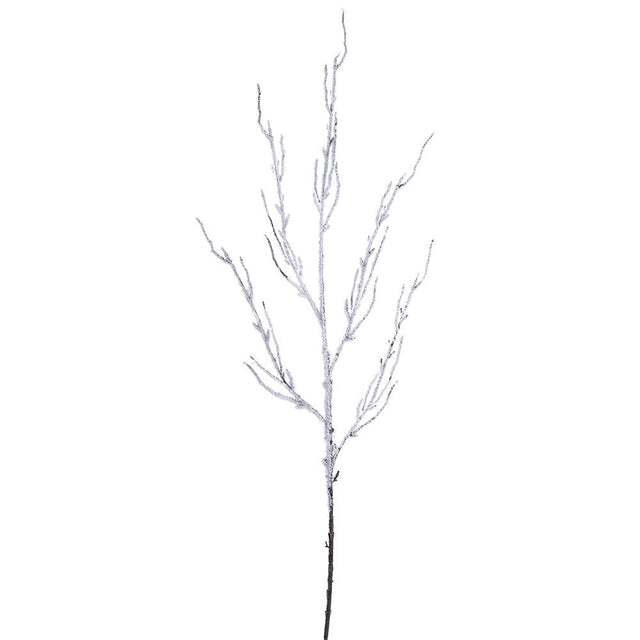 Snowed twig spray with white and brown tones.