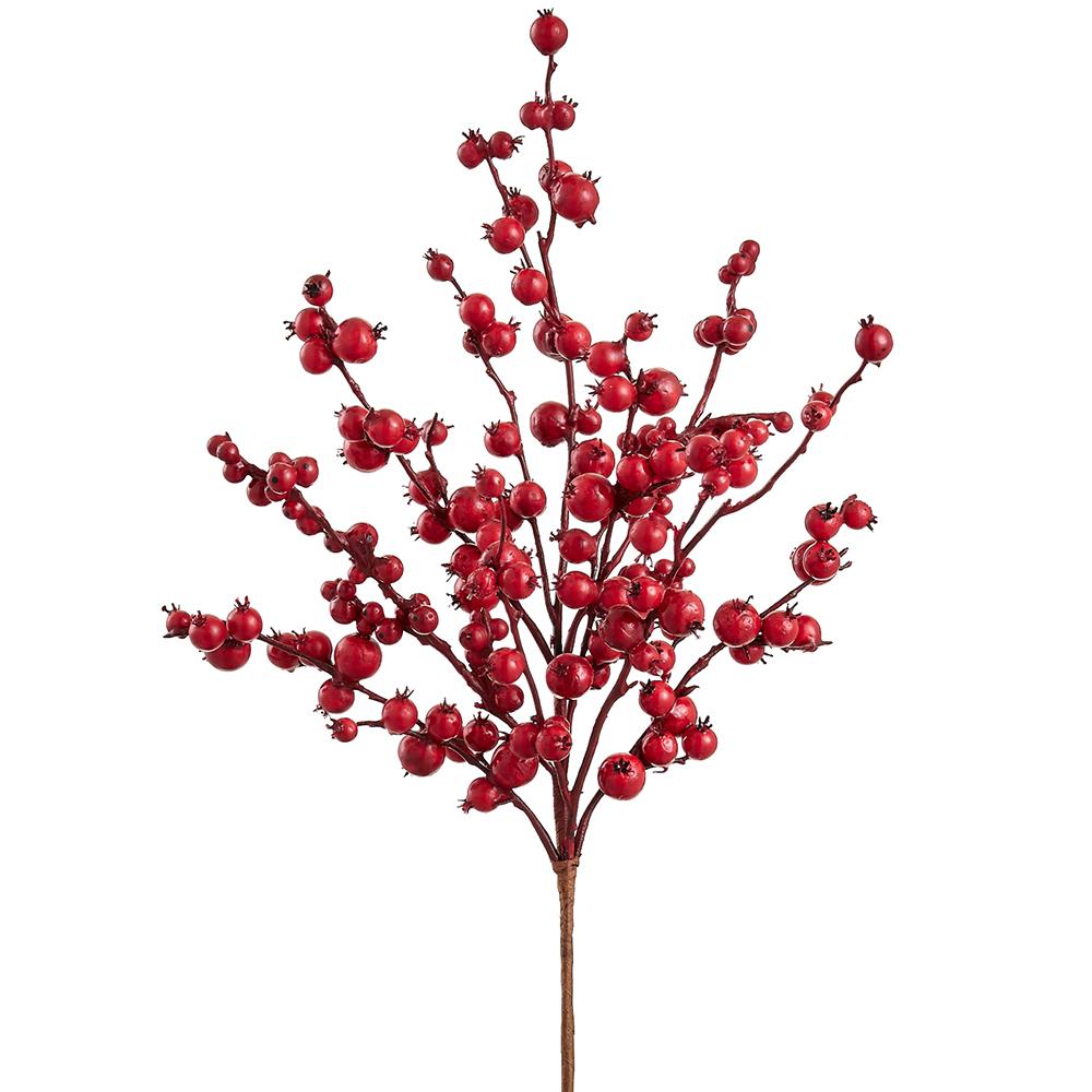 22” Rosehip Red Spray
