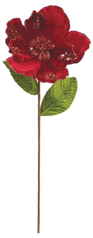 Red velvet magnolia stem with broad petals.