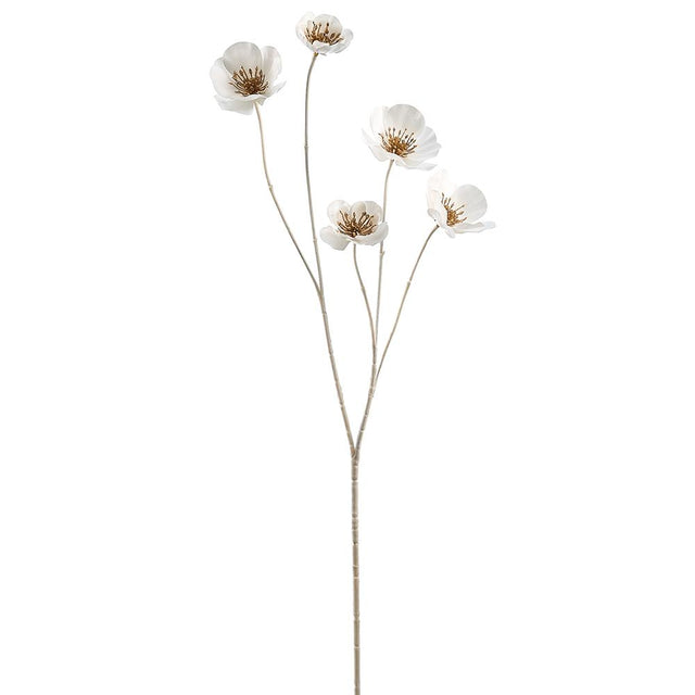 White helleborus spray with soft blooms.